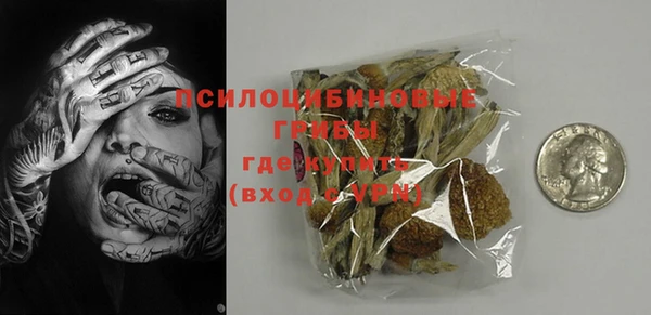 дмт Дмитров