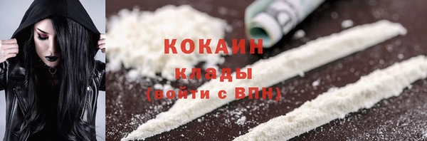 дмт Дмитров