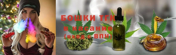 дмт Дмитров