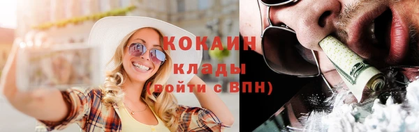 ПСИЛОЦИБИНОВЫЕ ГРИБЫ Дмитриев