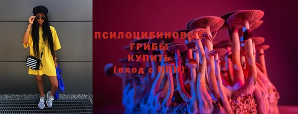ПСИЛОЦИБИНОВЫЕ ГРИБЫ Дмитриев