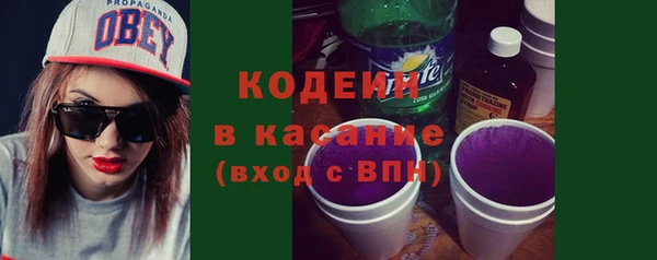 ПСИЛОЦИБИНОВЫЕ ГРИБЫ Дмитриев