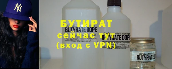 ПСИЛОЦИБИНОВЫЕ ГРИБЫ Дмитриев