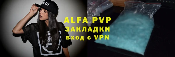 дмт Дмитров