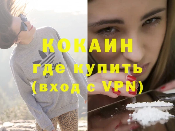 ПСИЛОЦИБИНОВЫЕ ГРИБЫ Дмитриев