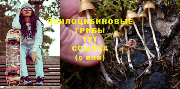 ПСИЛОЦИБИНОВЫЕ ГРИБЫ Дмитриев