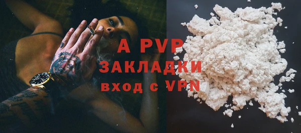 ПСИЛОЦИБИНОВЫЕ ГРИБЫ Дмитриев